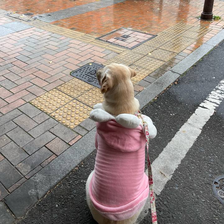 A7d4e8b6 324b 43a2 9379 3bb1dac2a471 1638322130866