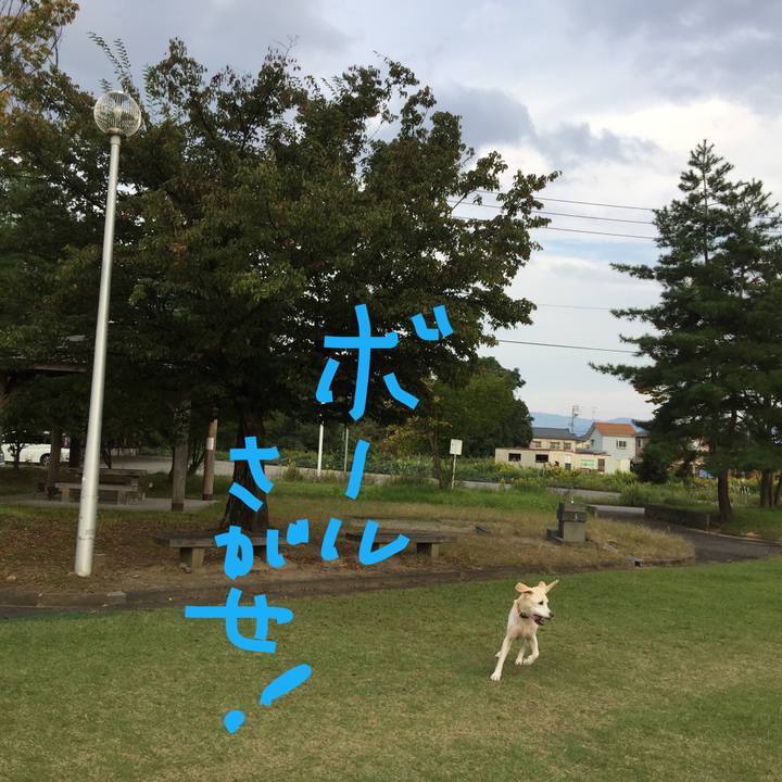 A7d4ff87 eb88 4191 8c5a a746b6703ddc 1507707531028