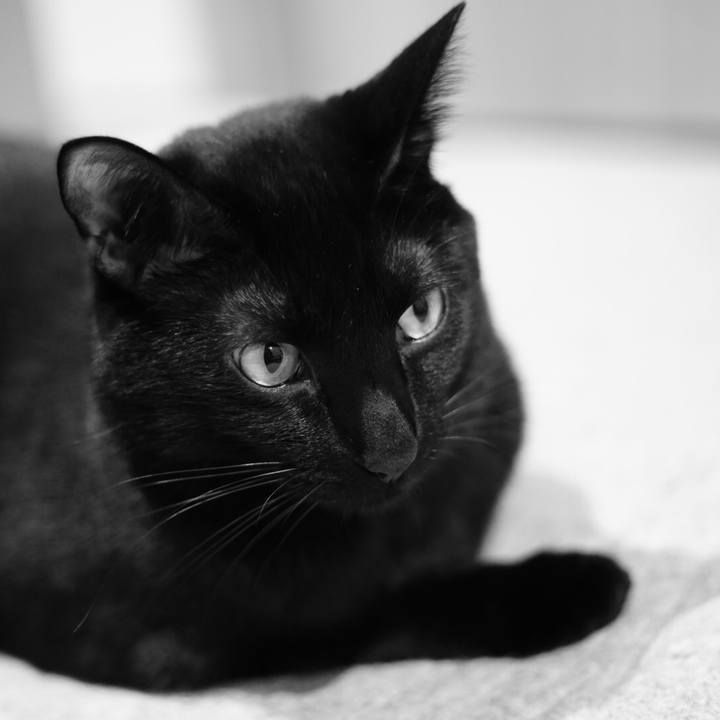 A7d50a61 9747 46bd a432 dc94433bcfa1 1514037863308