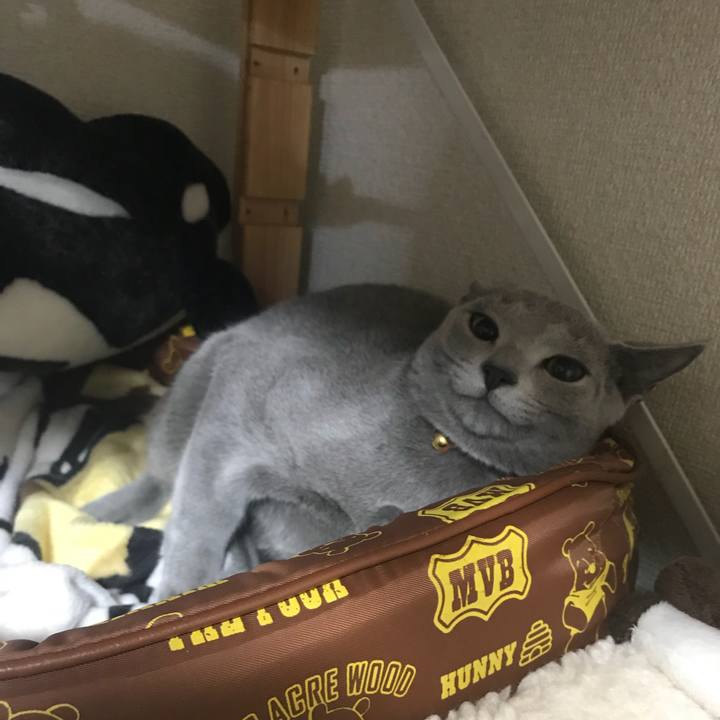 A7d56b63 1fa8 4fa1 a97e 2943999581be 1511911587992