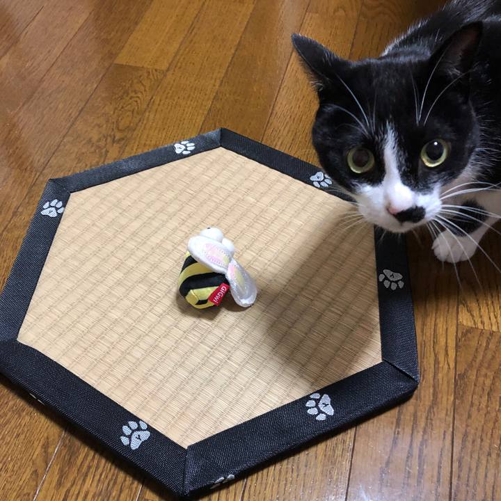 A7d5933d 1b9e 4e17 8e45 607daf704656 1545393334246