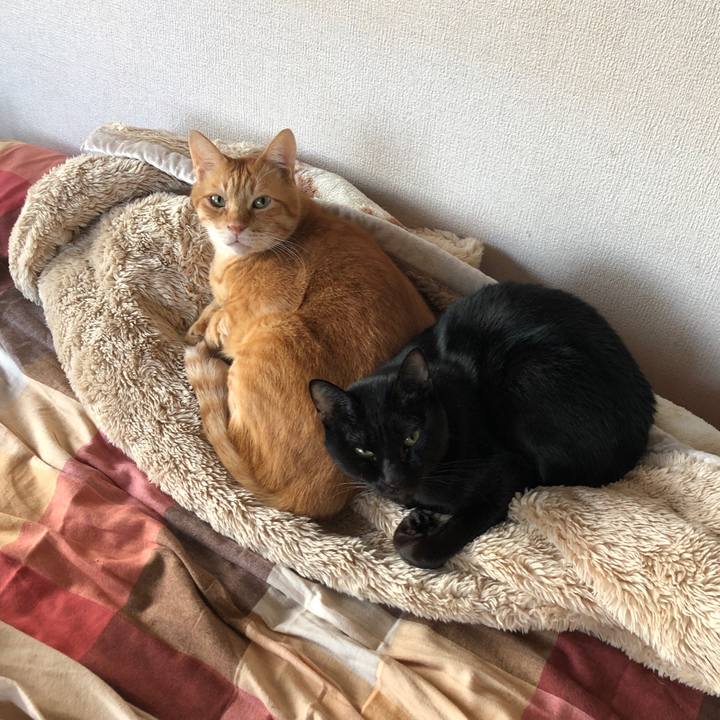 A7d5993f 358f 43dc b623 af68ba9e092e 1666911307794