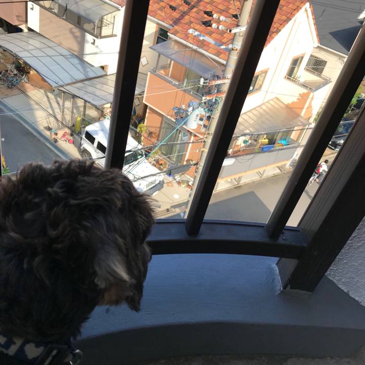 A7d5a649 78ea 4732 9d8f c94f8fcbb2c5 1537225133018