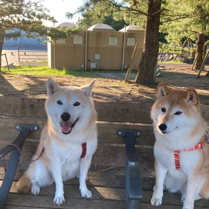 A7d5be1d 5b70 4c56 b05f 0305dd2e23d7 1604498945709