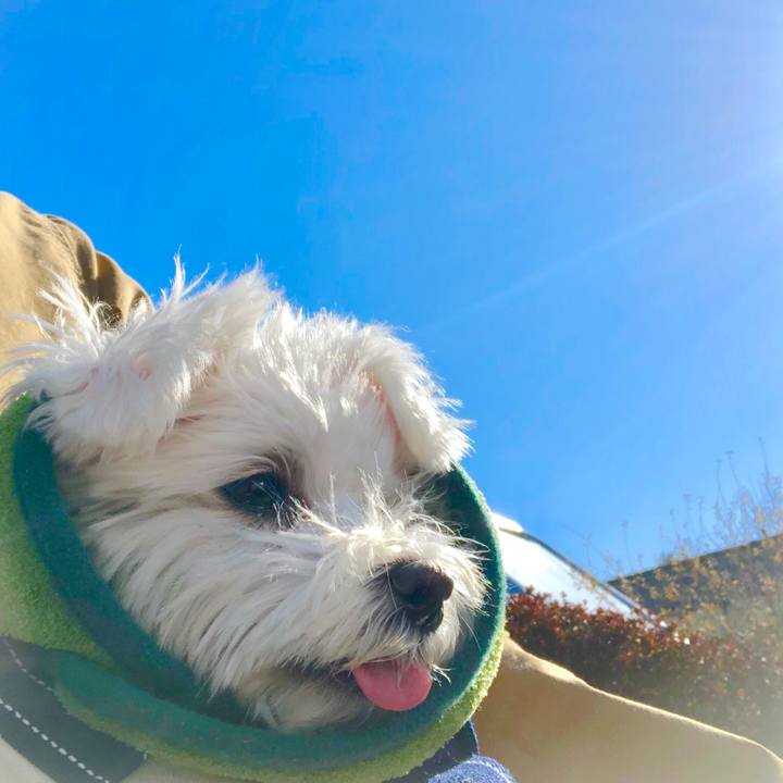 A7d69c16 7e75 4a3d 9a42 d9b20aec26a9 1548987835842