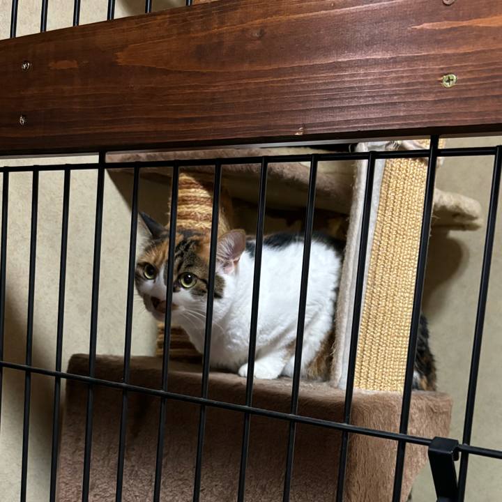 A7d6da5a e297 4026 9315 0d94c814eda0 1725659867407