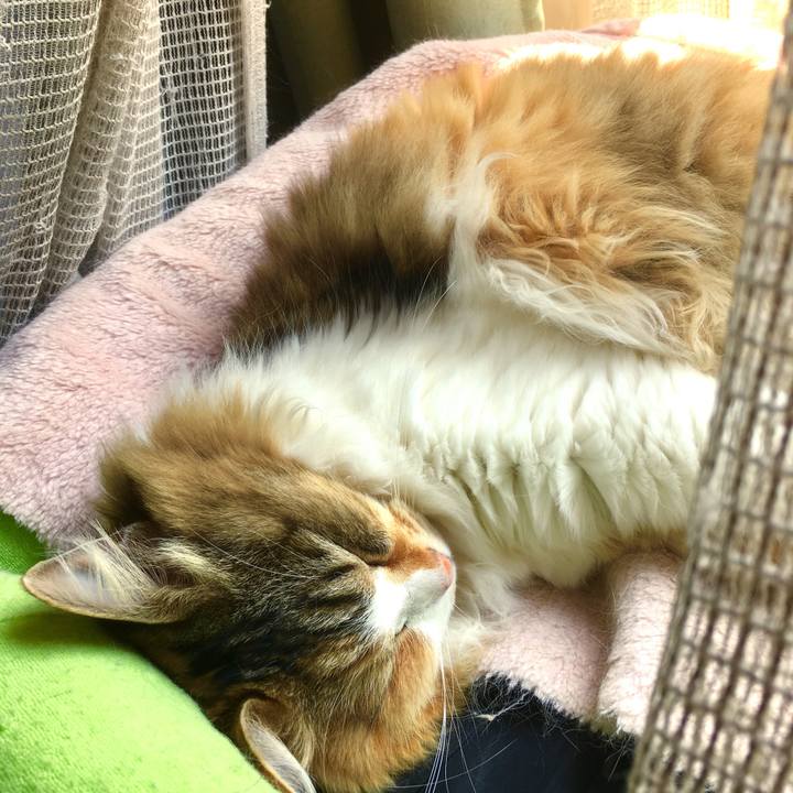 A7d6e679 0827 4801 85f1 c2ea9a701076 1557614473148