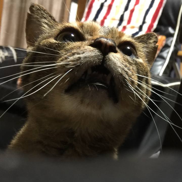 A7d6f0af 65d3 4244 b18e 05fffef2f60c 1533207538413