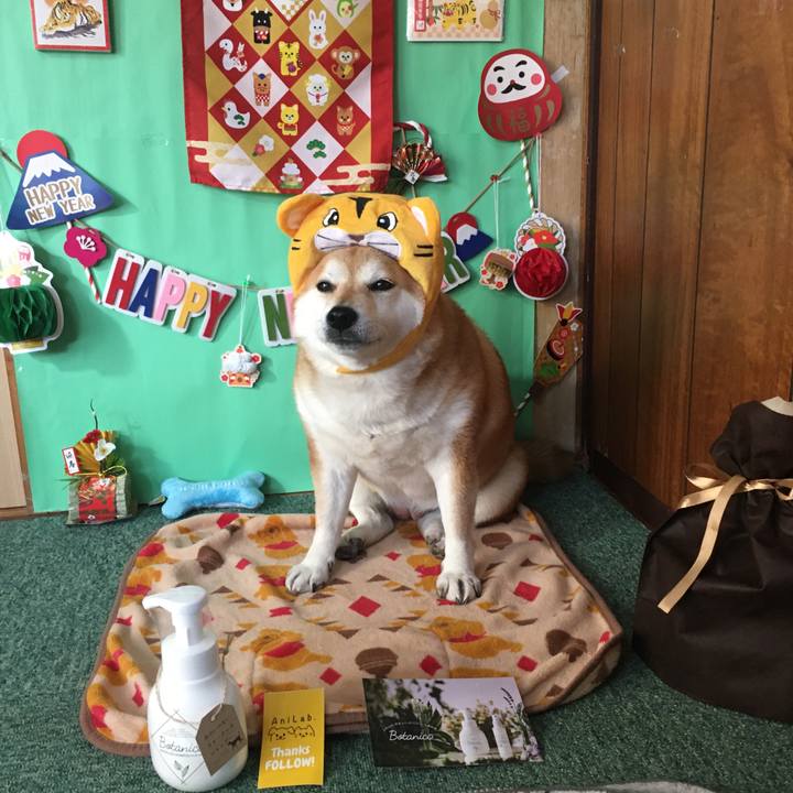 A7d7084b 0ca2 44a7 b3c8 8be2da461e8f 1642468792420