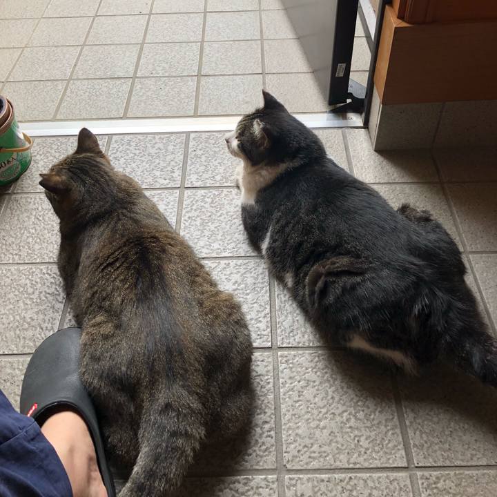 A7d74014 8089 42fb 9d29 676feff73767 1532260088236