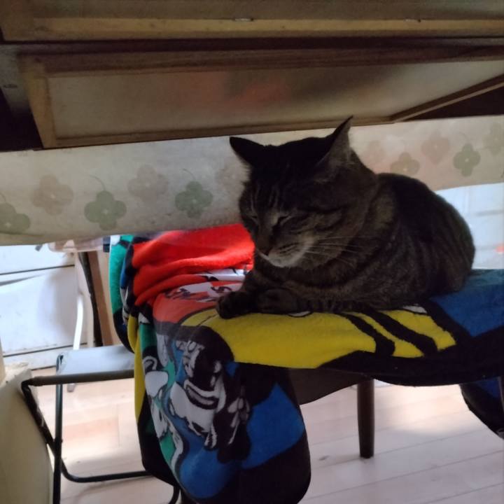 A7d7548c 0fbf 4240 b132 3abdbeb34b11 1679177600257