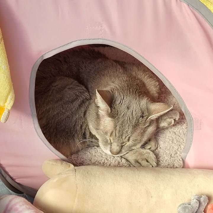 A7d7d160 bce8 41d5 b472 917396f2dd0e 1609648288780