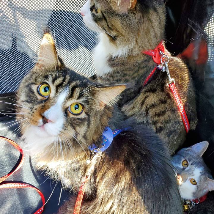 A7d7e37a 3015 47ed 8f45 fc3983b9d12d 1678178718990