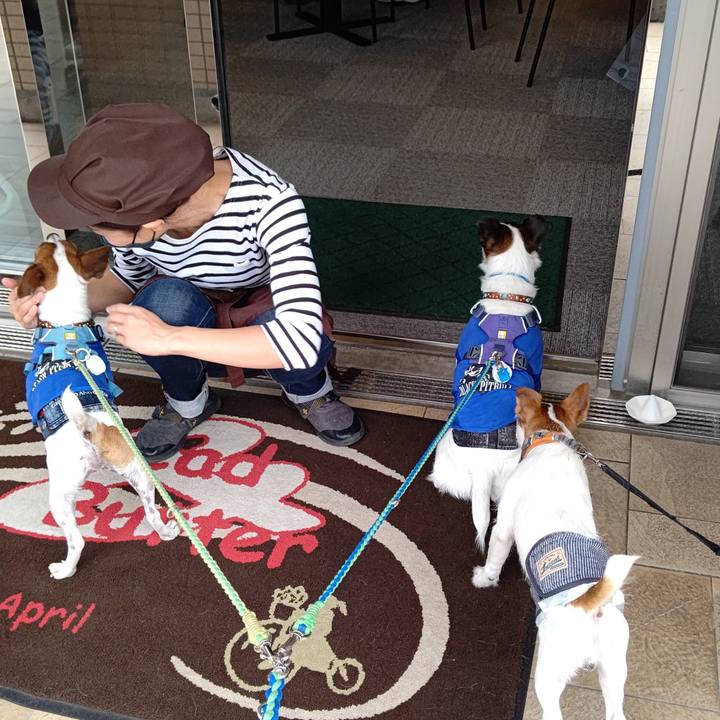 A7d849ad 47ae 4663 877e 2e035d31040d 1632747226681