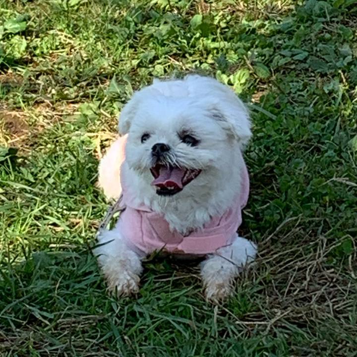 A7d8520b d352 4489 ac43 358ba9eba6bf 1636031258273