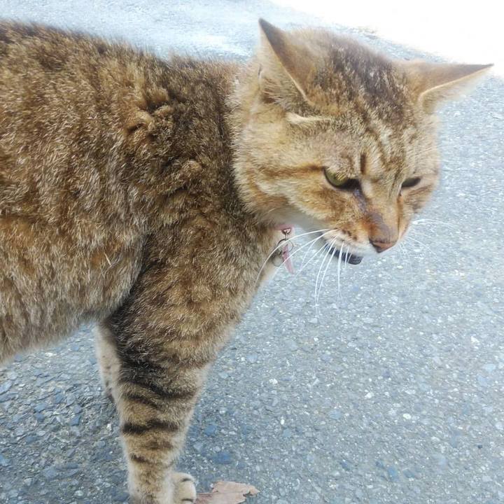 A7d85d15 0b8f 45f6 af32 11d7ca87dd35 1598318415919