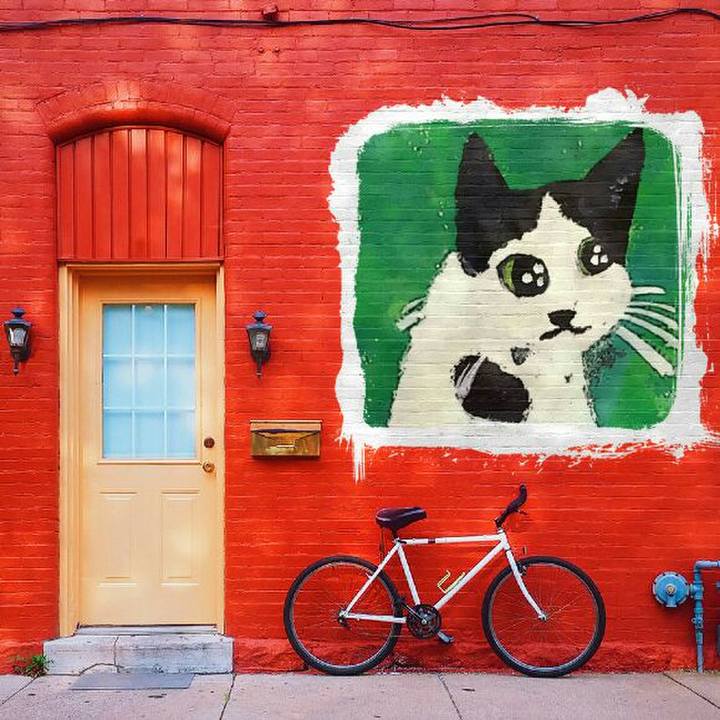 A7d8805b 781c 4071 a211 dfc1d481e31e 1519510825489