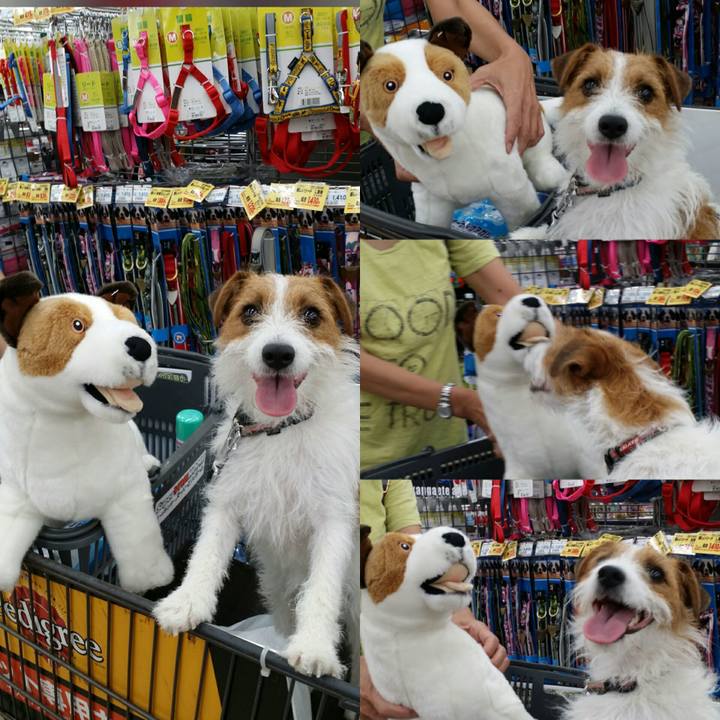 A7d88c27 6e87 4b0b 9adb d4e19f76bb3d 1530347016880