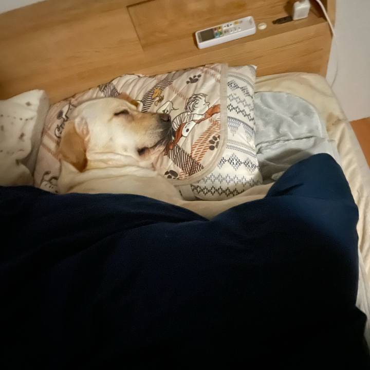 A7d89011 afc0 4729 b99d a8da4a6cb394 1676807708984