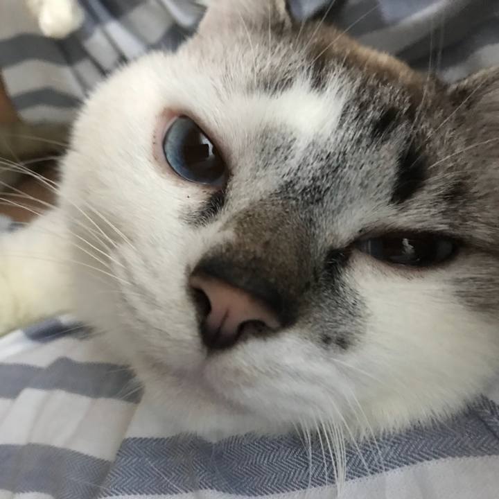 A7d8a23c 9925 4189 aa9c 68fabbc12799 1524689725941