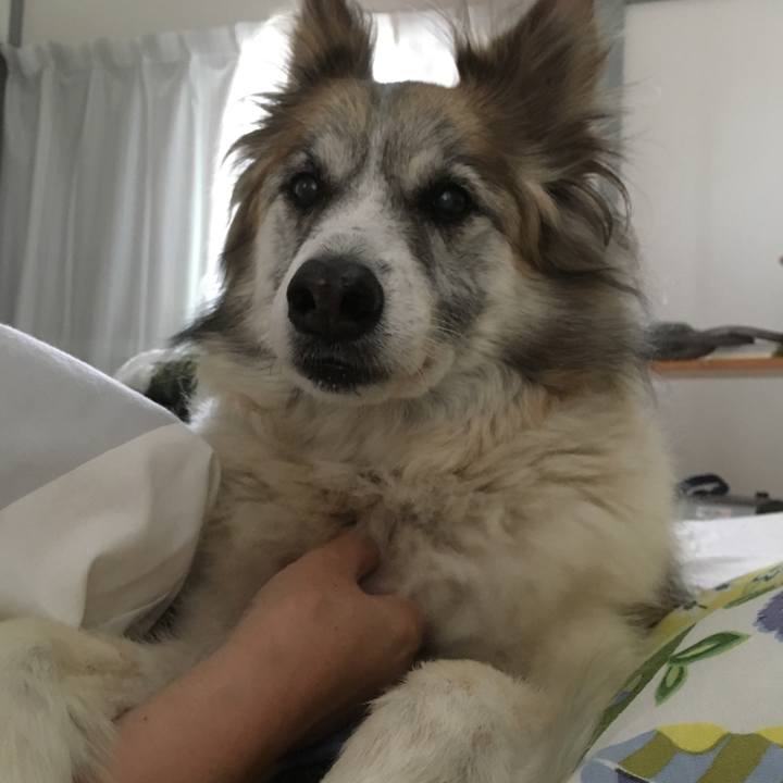 A7d8acd9 3302 47cb b01f 89ab4f7e9d2b 1571655393359