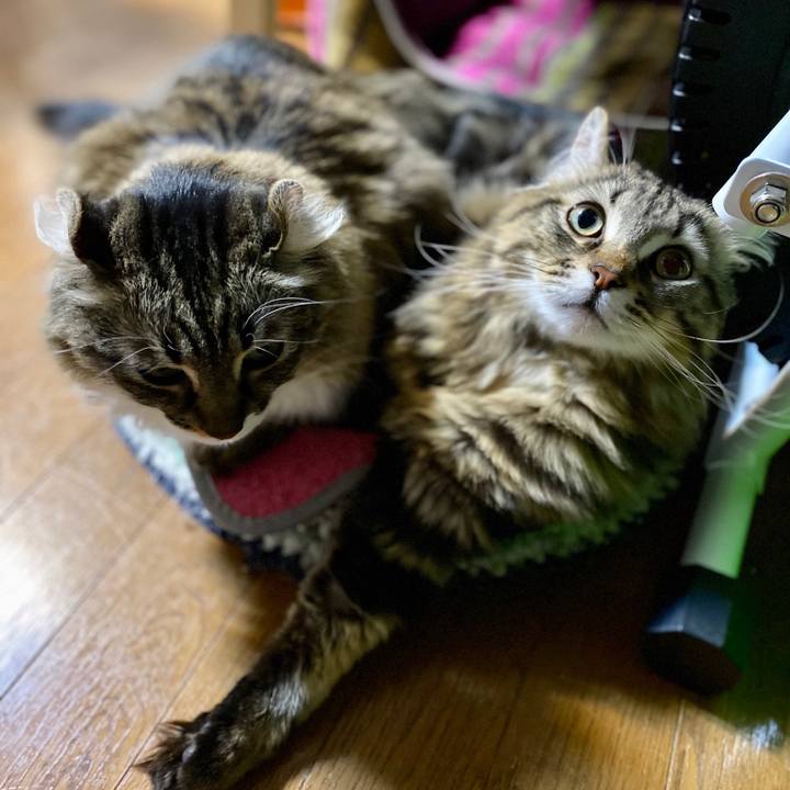 A7d8b17a 98ed 4a9a 9c85 1982065b273e 1579668129766