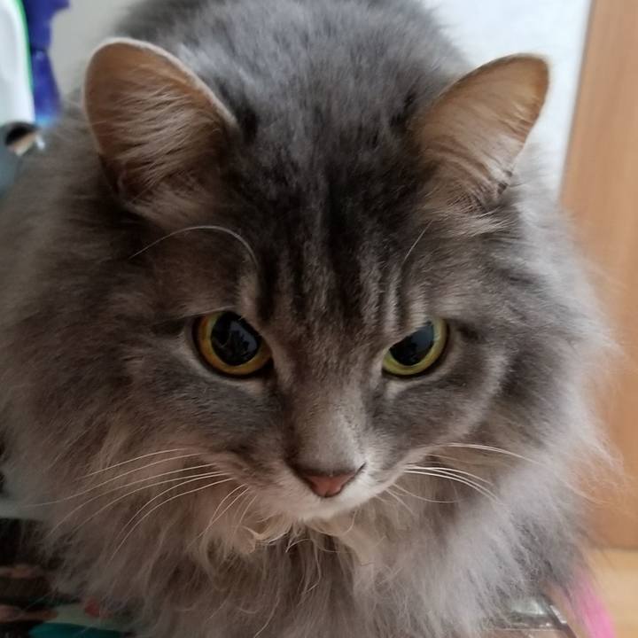 A7d8e0ee d1a7 41a4 8ade 7190d9764cf8 1556015440724