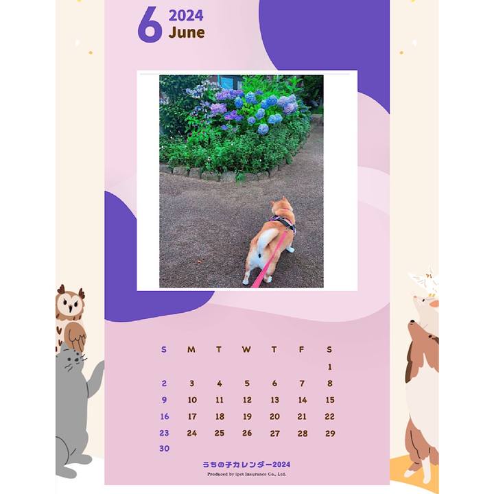 A7d915b1 cb4a 4bf1 98b8 57e0476ca29b 1692508175095