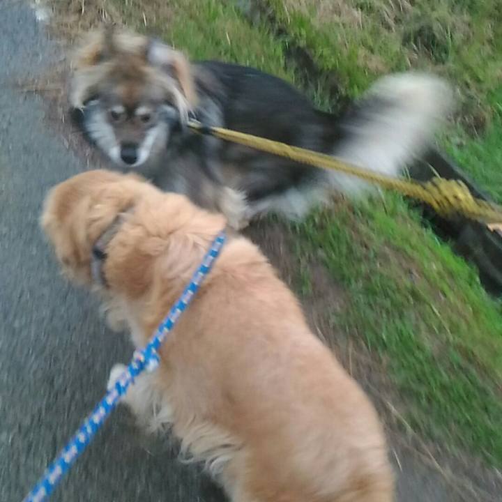 A7d981e6 e27a 4fef a28d ddd0bd0b9812 1511763871976