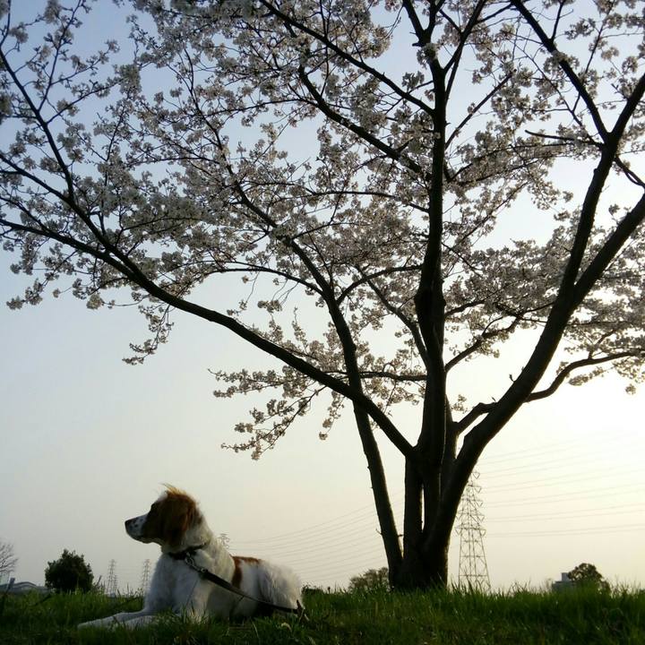 A7d98a1f 84fe 47c7 a462 c01a46f9ac8a 1522326033732