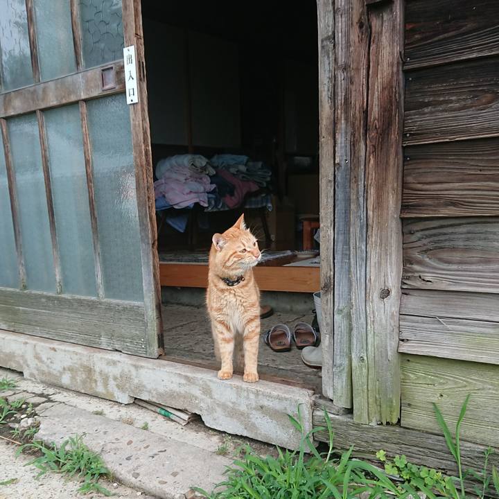 A7d9b8ae b42f 4230 847d 2119aeb1eec7 1656452889656