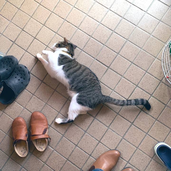 A7d9bb52 bc81 4a78 9a8e 1fa6b23f8aab 1575038682547