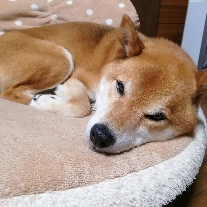 A7d9c8ff 099a 4245 8726 136c3224c254 1620141637378