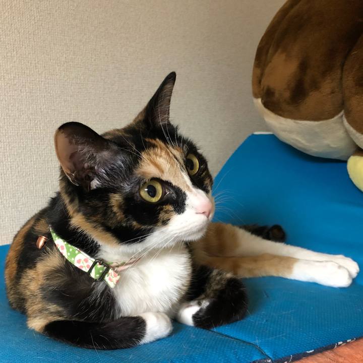 A7d9d9fa 42f4 4ba1 aa37 1308afd7d3ab 1630098206308