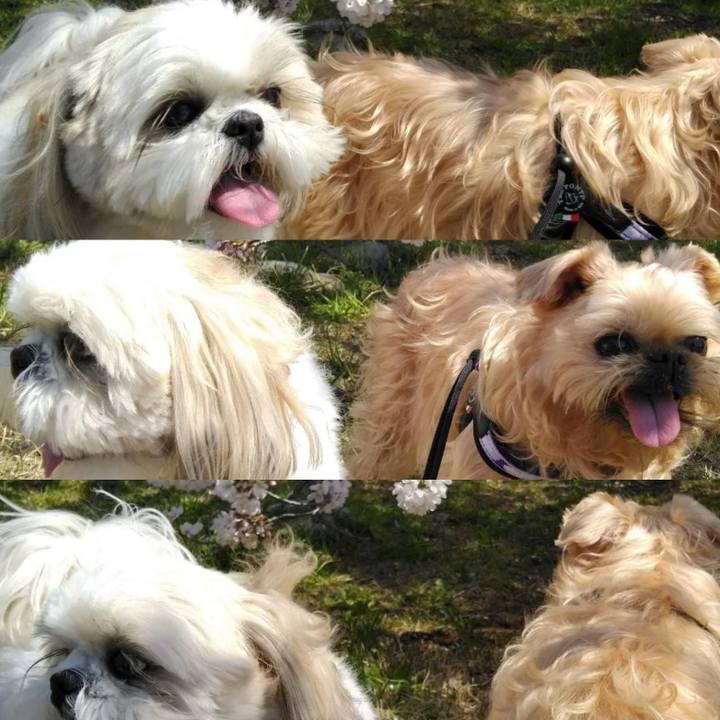 A7da0b9e 2712 4469 b2b9 0b1eb186f878 1648985585573