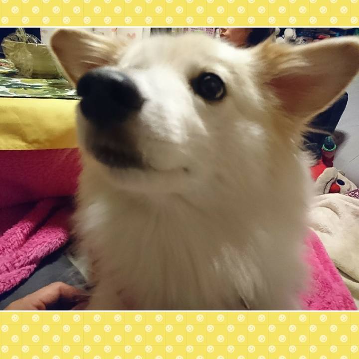 A7da5e06 bbbc 4065 a081 f03c3ddc85ca 1510920451893