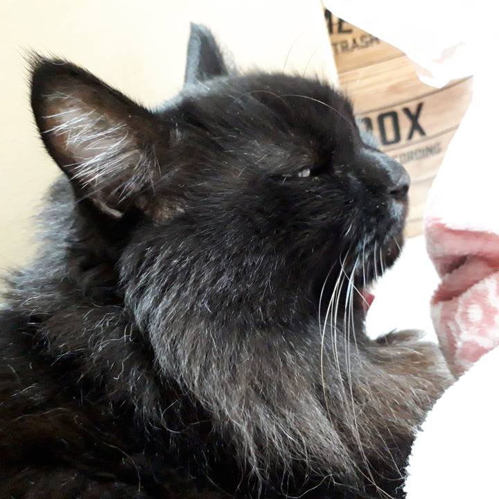 A7da7c00 11f1 49d0 8f96 1b274eb98112 1543843156242