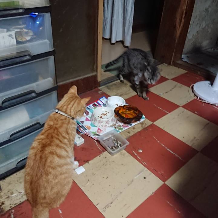 A7daaf2d 81e5 4fab 9374 b49d297b6961 1593112905807