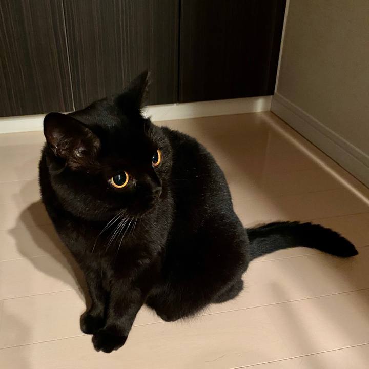 A7dab1d7 355e 439e b5af 05b5224b9362 1602579890312