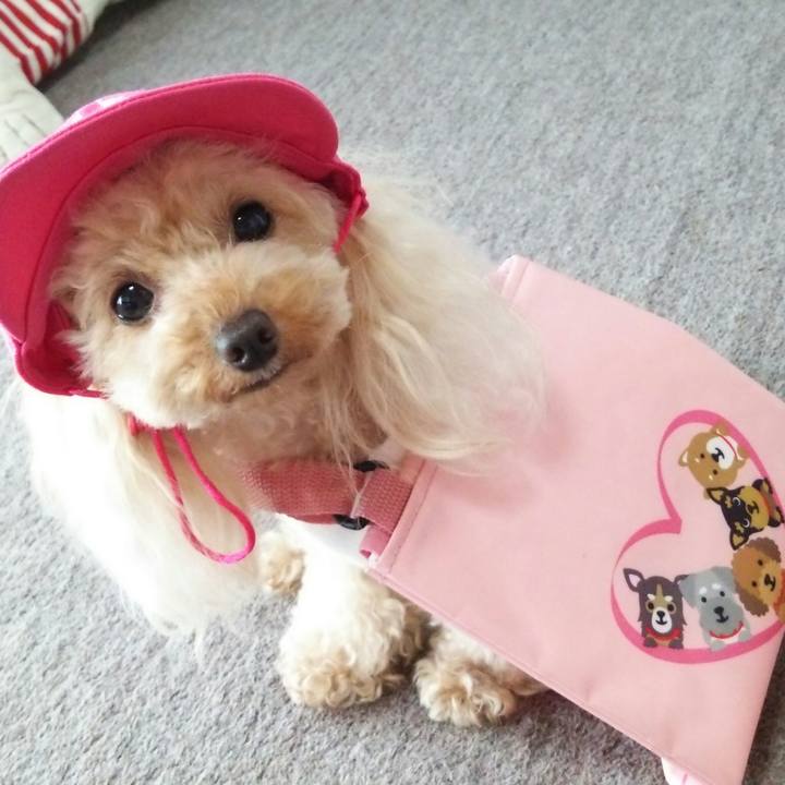 A7dae29e be61 4bb8 972d 93ec1586bb6e 1537358192532