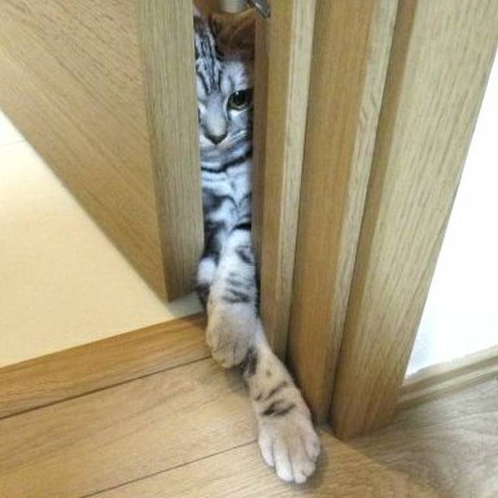 A7dae40b 704c 4d70 b9c4 981b94a4404d 1538222144407