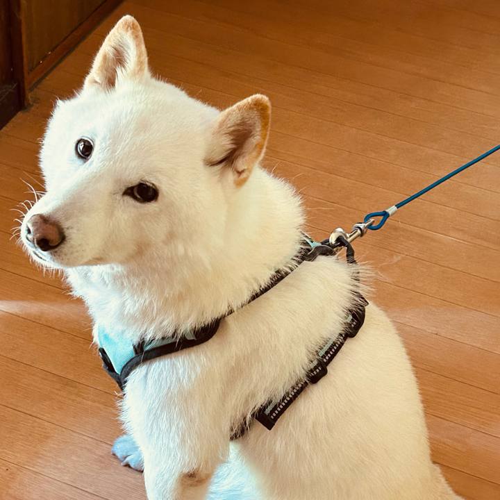 A7dae5bc 1e86 4cdd 88f9 63e7e7cdae6e 1690276692274