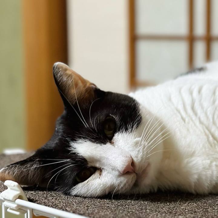 A7daf922 071a 4641 bd46 a11411b1dca3 1695086150841