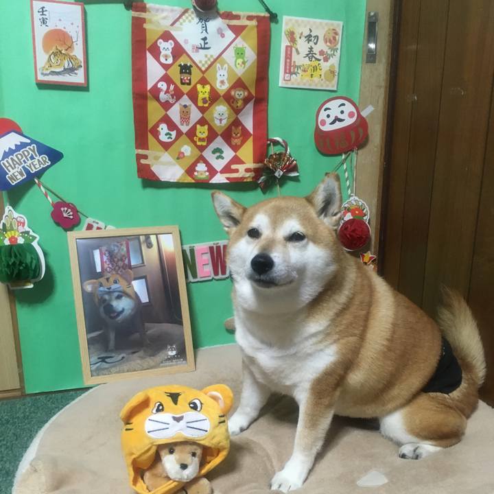 A7db00ed d204 4037 9c51 f4f33bf37ddf 1645611377159