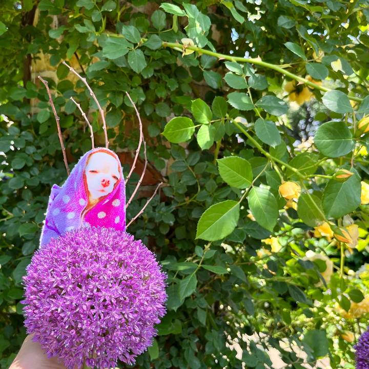 A7db1ca6 5241 4714 8da0 71c331d87985 1653282004543