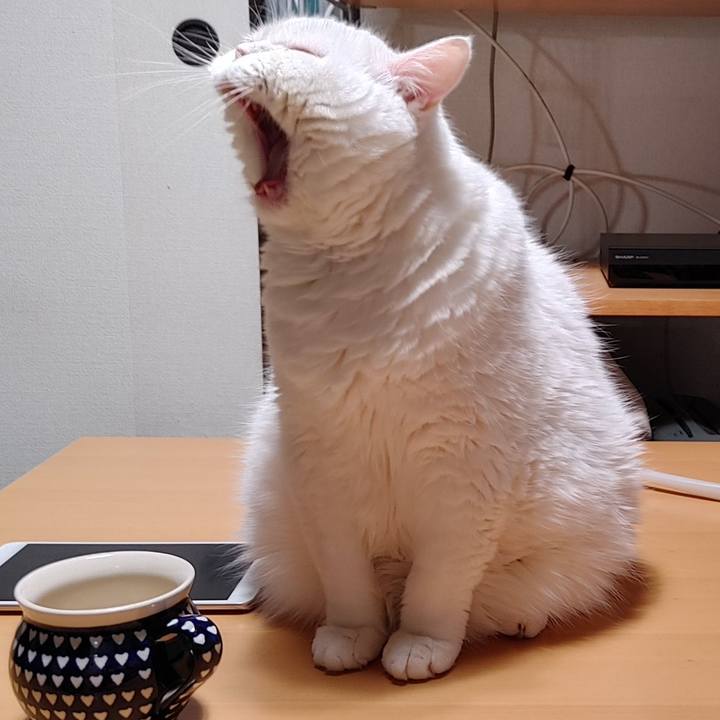 A7db4b1b 3c8b 4536 84c3 50b9f4601354 1721985063003