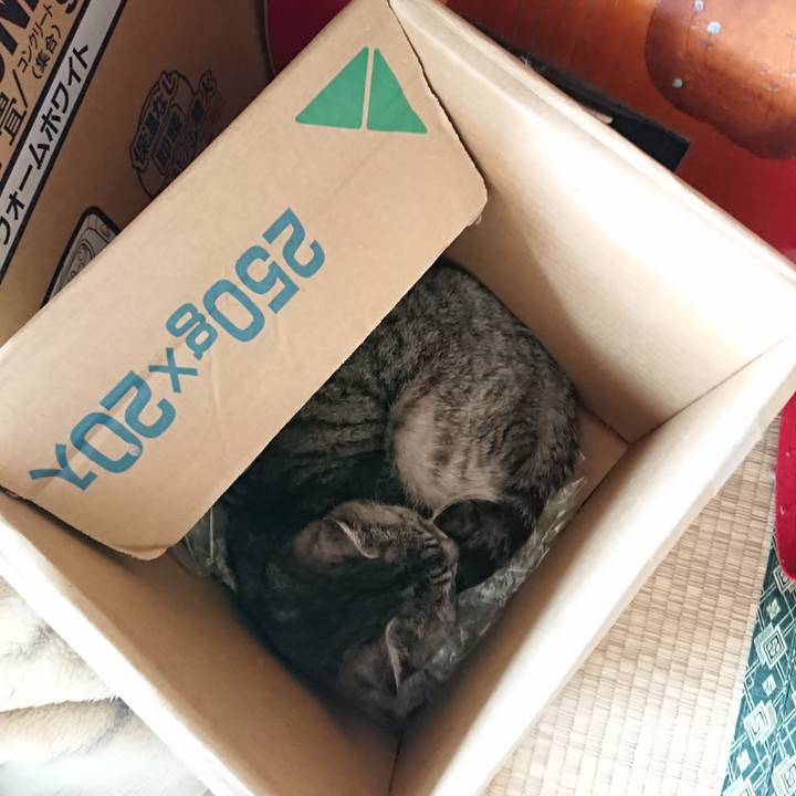 A7db5c6c 0afc 4a3e aecc 9c35adf710e4 1590903032322