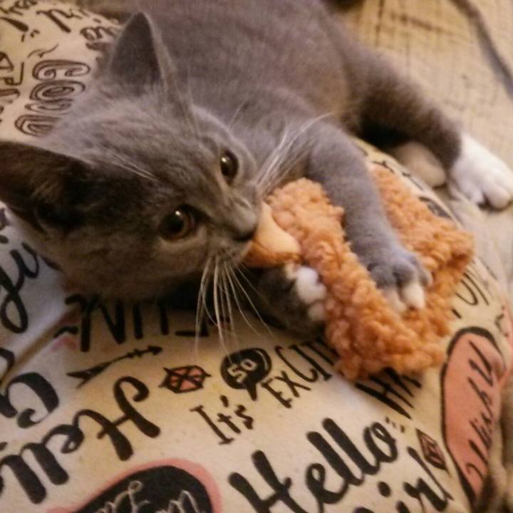 A7db713b cb59 402b b568 ed40d4d13406 1533095154353