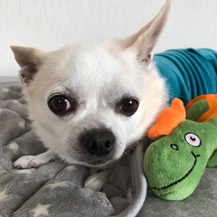 A7db7ae5 aed3 4200 bfdc ac0fef91a36c 1574836567230