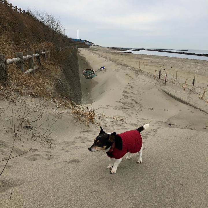 A7db9578 83e1 4ecd 9391 0a787da27693 1549410366187